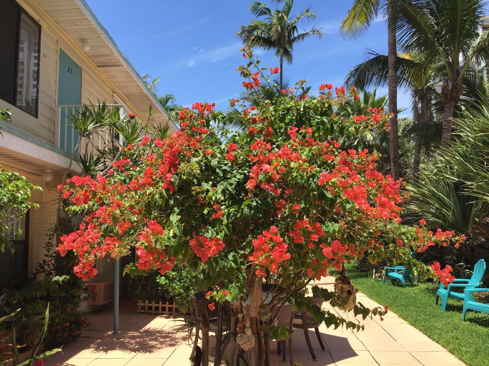 Sea Cove Motel Pompano Beach Exterior photo